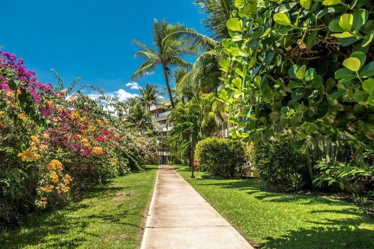 Maui Banyan B204 Apartman Wailea Amerikai Egyesült Államok